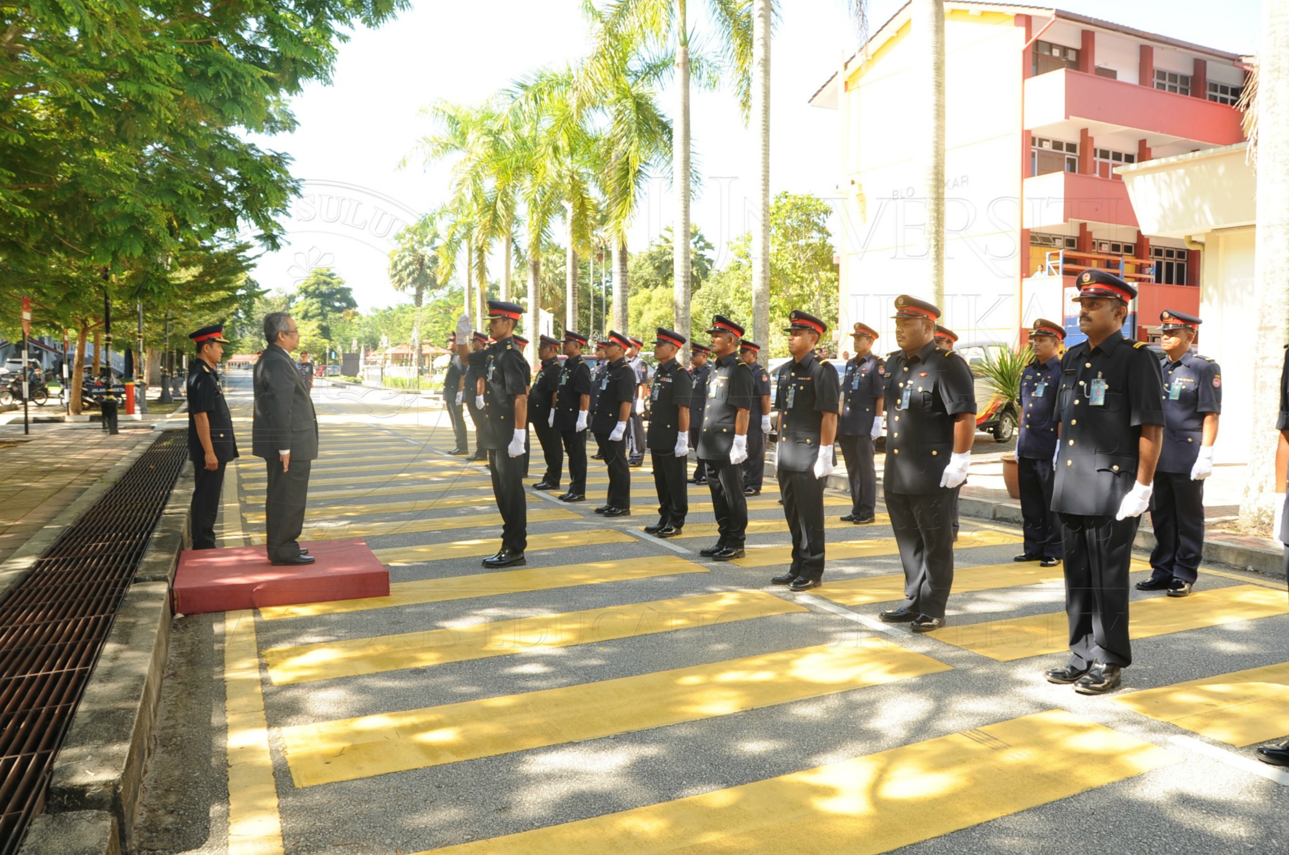 PRO 16 6 AMANAT VCHAS 8541